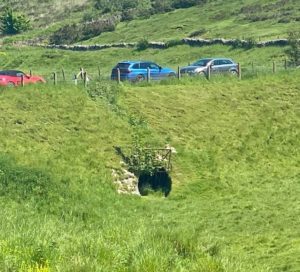 The tunnel at Velvet Bottom