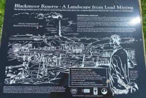 Blackmoor reserve sign 